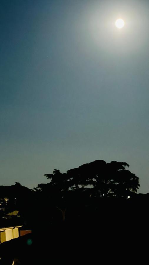 Oasi Di Serenita Marino Luaran gambar