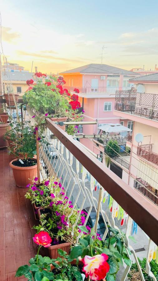 Oasi Di Serenita Marino Luaran gambar
